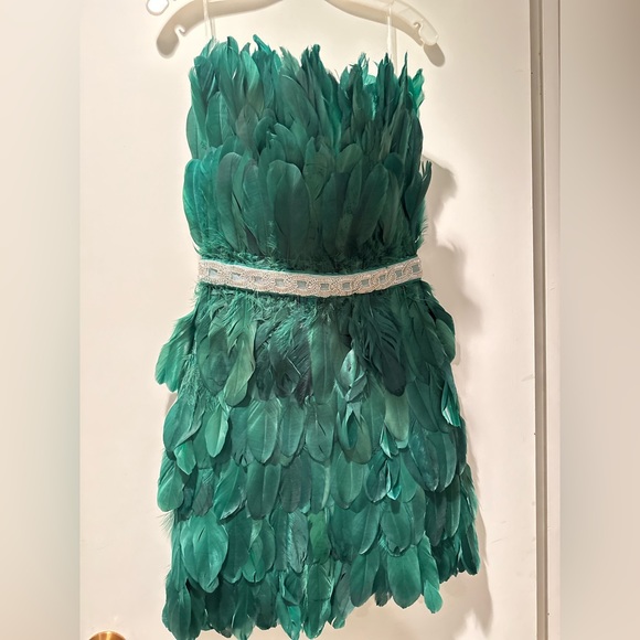 Feather Dress - Picture 2 of 7